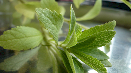 (Bild: s.rossmann /pixelio)