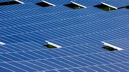 (Bild: Rainer Sturm/pixelio)