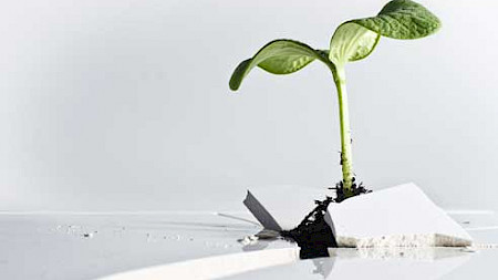 Foto:Kai Niemeyer, pixelio.de