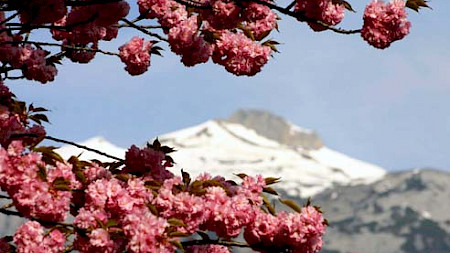 Foto:Michael Berger, pixelio.de