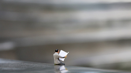 Bild: Schmitz/pixelio