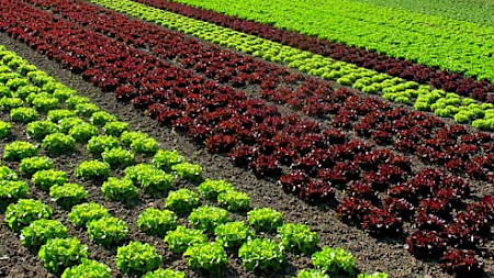 Foto: Joujou, pixelio.de