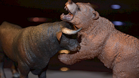 Der Bär scheint nicht zu gewinnen (Bild: Pixelio, Thomas Lehnacker).
