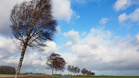 (Bild: Pixelio, Uschi Dreiucker)