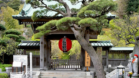 Bild: Bildpixel (pixelio)