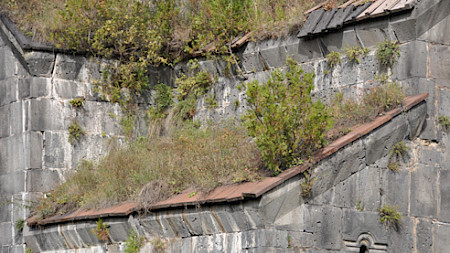 Bild: Daniel Ritschard (pixelio)