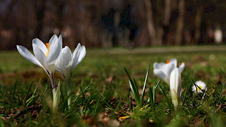 Bild: Wolfgang Dirscherl (pixelio)