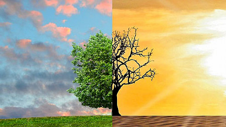 Climetrics misst Auswirkungen des Portfolio auf das Klima (Foto Pixabay)