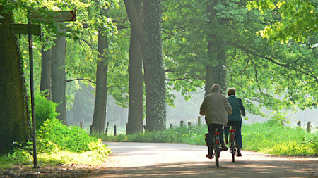 Bild: Michael Bührke (Pixelio)