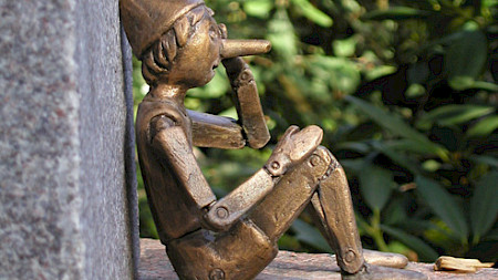 Symbolbild, Raps. (Pixelio)