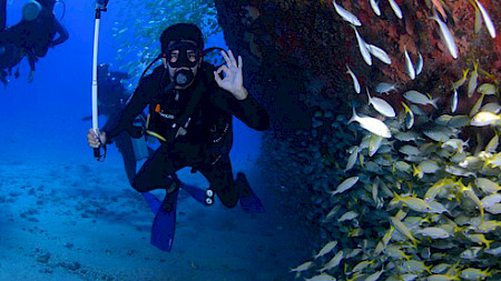 Schwarmverhalten: Todd Wolter nutzt die Ergebnisse der Behavioural Finance, um Marktineffizienzen zu entdecken (Foto: Pixabay)