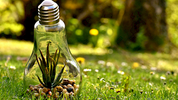 ESG: Ein Kriterium mit sieben Siegeln