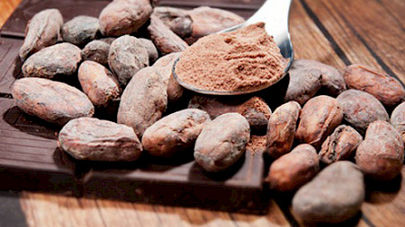 (Foto Timo Klostermeier, Pixelio)