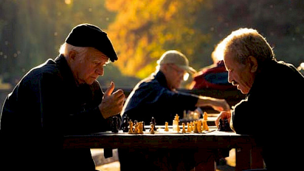 Wenn sich Ertrag und Wachstum gegenüberstehen