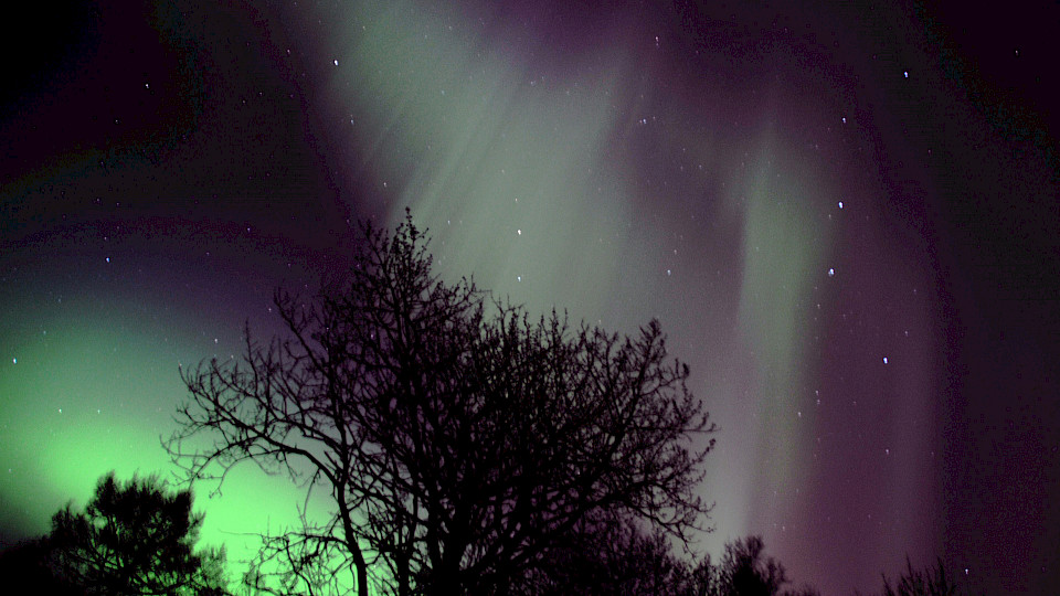 Polarlicht. (Bild: Pixabay)