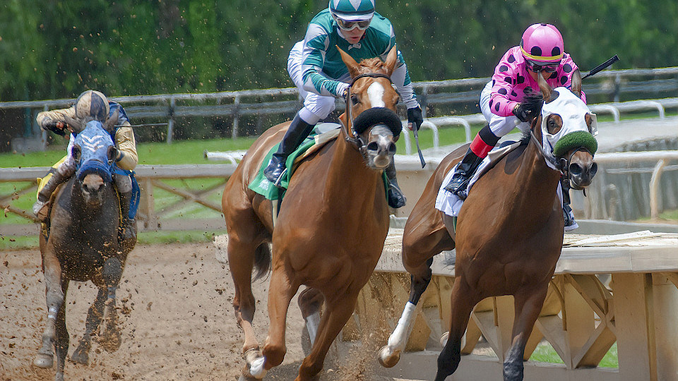 Aktiv verwaltete Aktienfonds verlieren immer mehr an Terrain gegenüber den ETFs. Bild: Pixabay