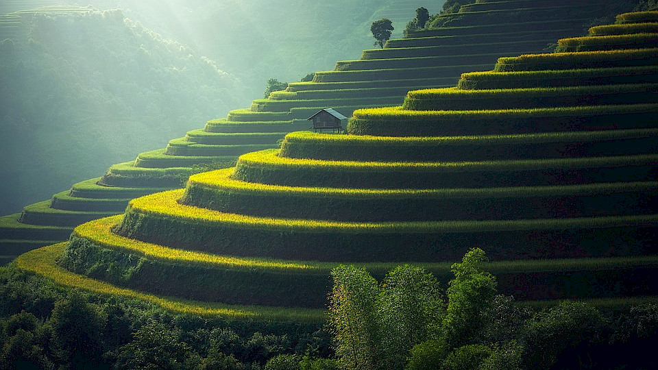 Asiatische Investoren bevorzugen Investitionen in ihrer Heimatregion. (Bild: Pixabay)