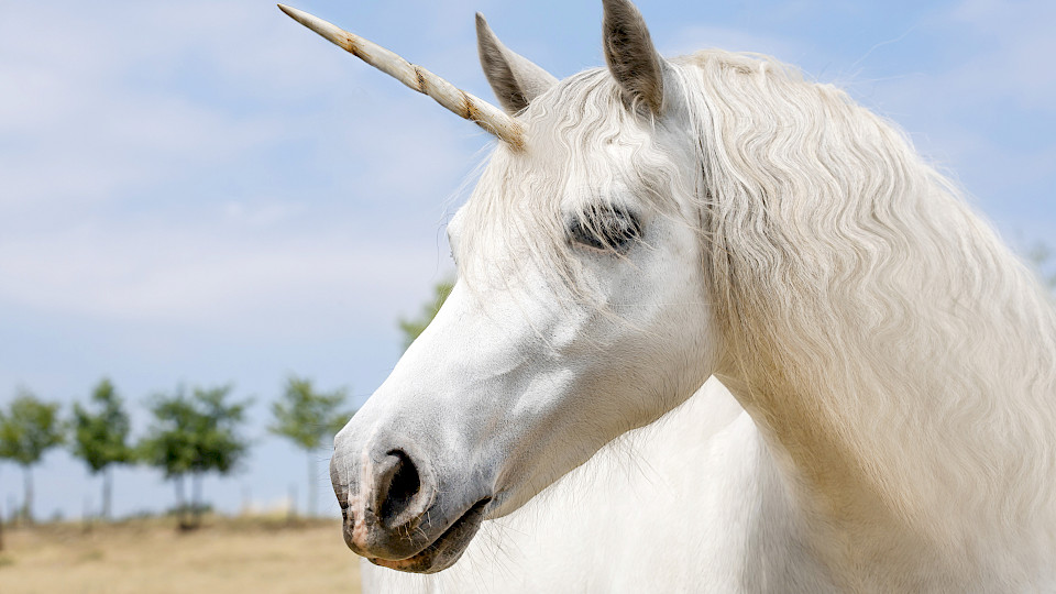 Der "Factor Zoo" ist eher mit imaginären Tieren wie Einhörnern als mit realen Wesen bestückt. (Bild: Shutterstock.com/Marben)