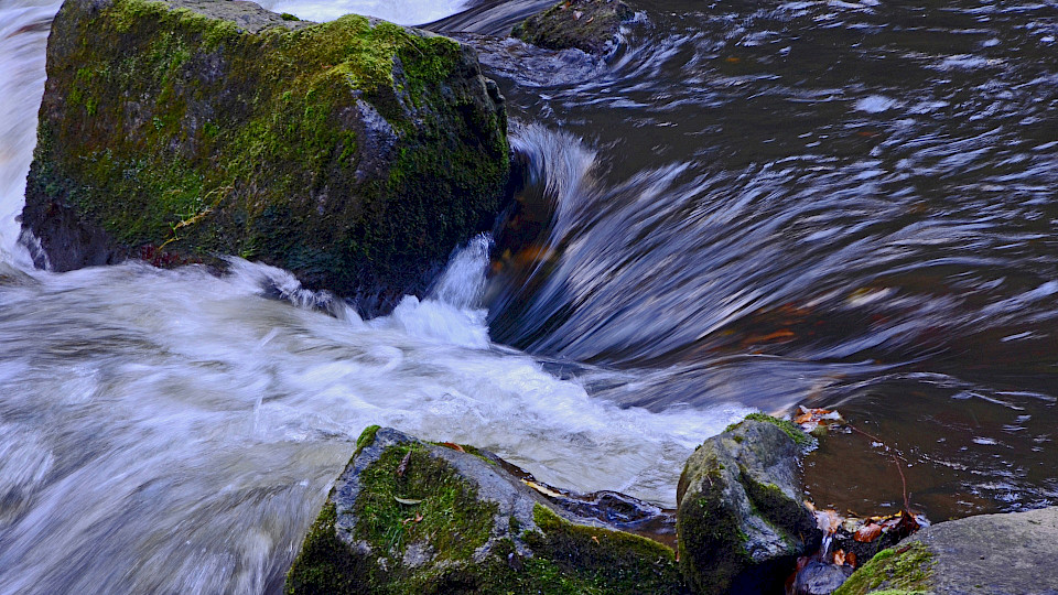 Mehr Zuflüsse als Abflüsse im Schweizer Fondsmarkt im Juni. (Bild: Pixabay)