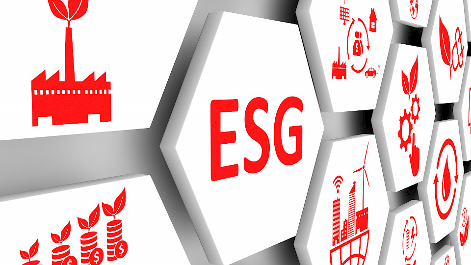 Die neue Fondsfamilie von Fidelty legt ihren Fokus auf nachhaltige Kriterien. (Bild: shutterstock.com, Profit Image)