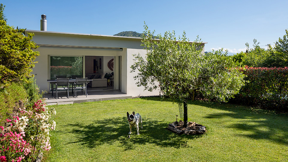 Der Kauf eines Eigenheims bleibt angesichts der tiefen Hypothekarzinsen weiterhin attraktiv. (Bild: Alexandre Zveiger/shutterstock.com)