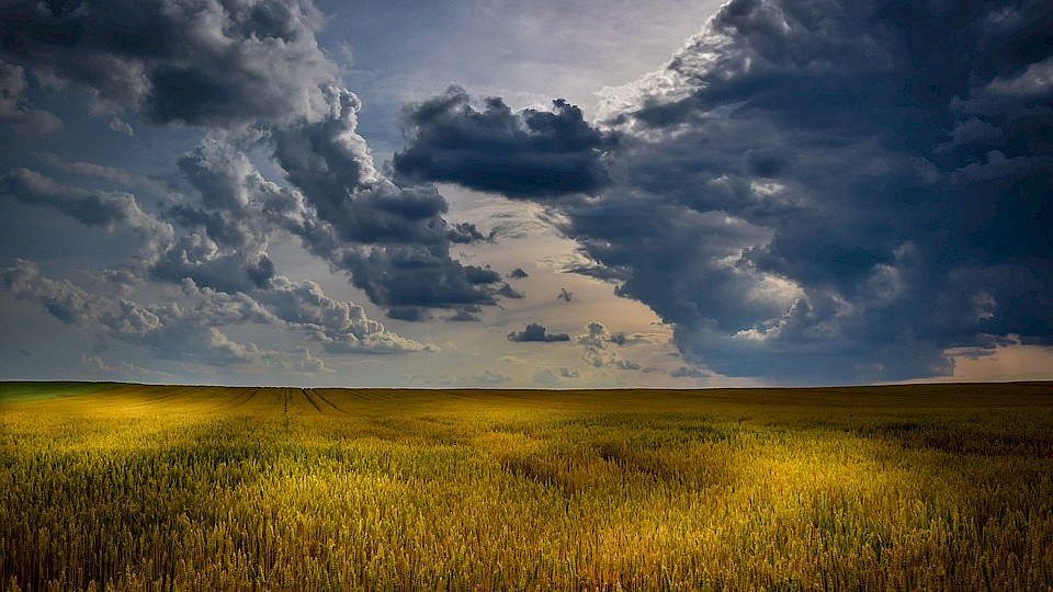 Die globale Wirtschaft schwächt sich weiter ab. (Bild: Pixabay)