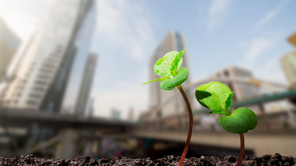 Das neue Private-Equity-Programm von Zürich Invest AG ermöglicht Pensionskassen eine breite Diversifikation.