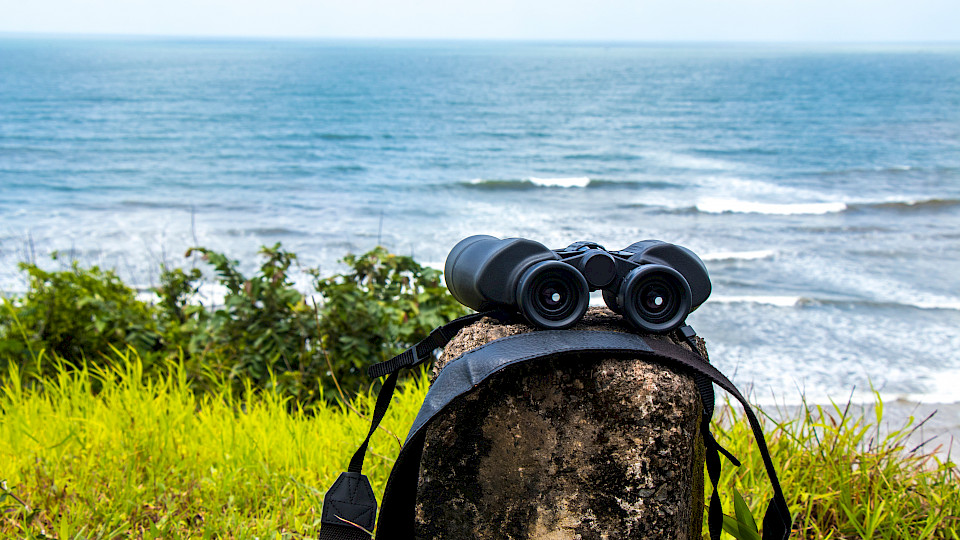 Anleger betrachten den Wirtschaftshorizont im Allgemeinen positiver als noch im letzten Quartal. (Bild: Shutterstock.com/Smart Nature Photography)