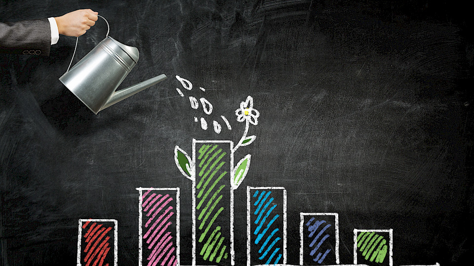 Der Mix von verschiedenen Anlageklassen führte bei vielen Pensionskassen zu einer guten Performance. (Bild: Shutterstock.com/Sergey Nivens)