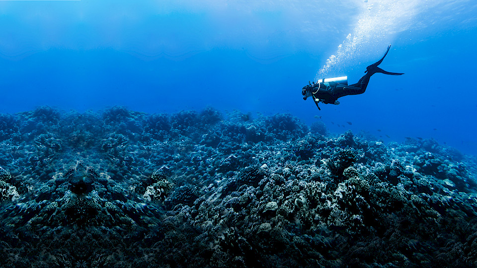 Das Kapital in Auf- und Abwärtsmärkten schützen: Dem Vontobel Global Equity Fund ist es gelungen, erfolgreich durch gesamte Marktzyklen zu navigieren.