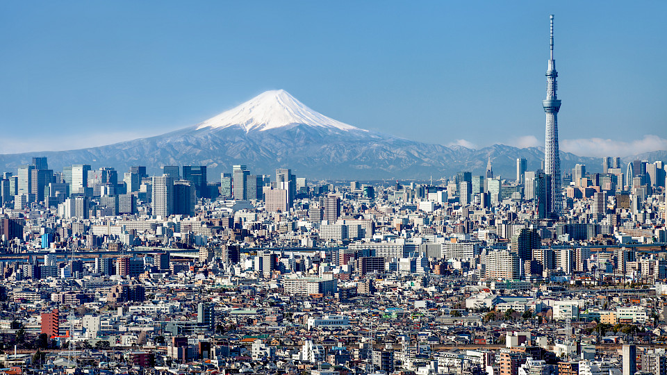 Das ungebremste Bevölkerungswachstum und die steigende Zahl von Büroarbeitsplätzen in grossen Ballungsräumen führt zu einer dauerhaften Nachfrage von Mehrfamilienhäusern in Städten wie Tokio. (Bild: Shutterstock.com)