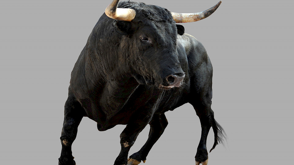 Der Aktienbulle wird wohl etwas behäbiger (Bild shutterstock.com).