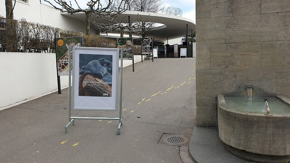 Kein gutes Zeichen, wenn sogar der Zürcher Zoo geschlossen wird (Foto: ras)
