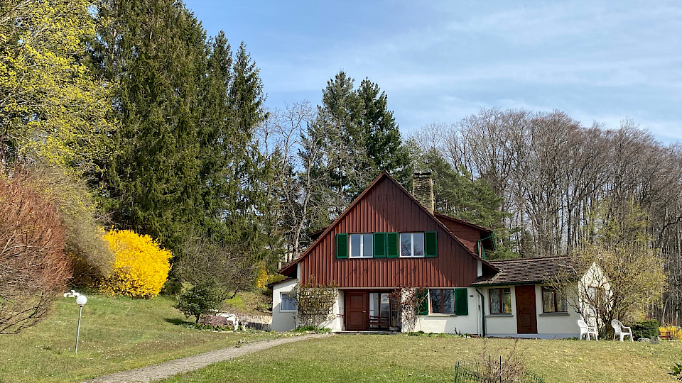 Die Schweizer Bevölkerung wird wohl vorsichtiger beim Hauskauf, dafür wird vermehrt in die Verschönerung und Sanierung des Wohneigentums investiert werden. (Bild: Shutterstock.com)