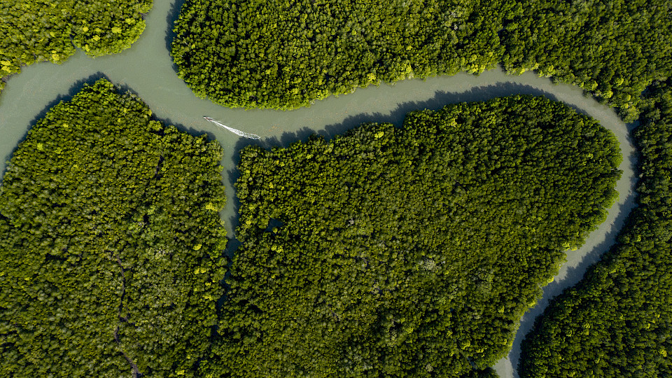 Bei einem bereits diversifizierten Portfolio können Green Bonds dabei helfen, Klumpenrisiken auszuschliessen. (Bild: Shutterstock.com)