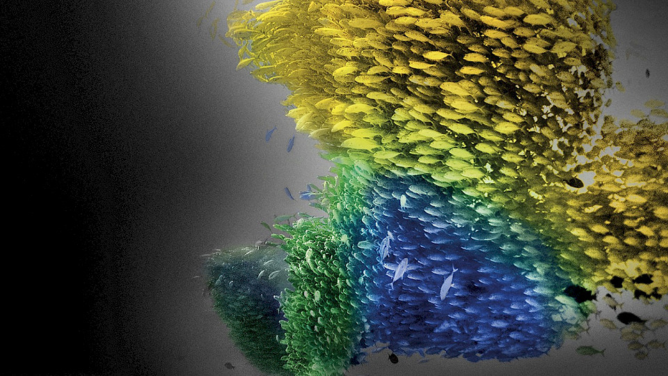 Aviva Investors erhält Verstärkung im Aktienteam.