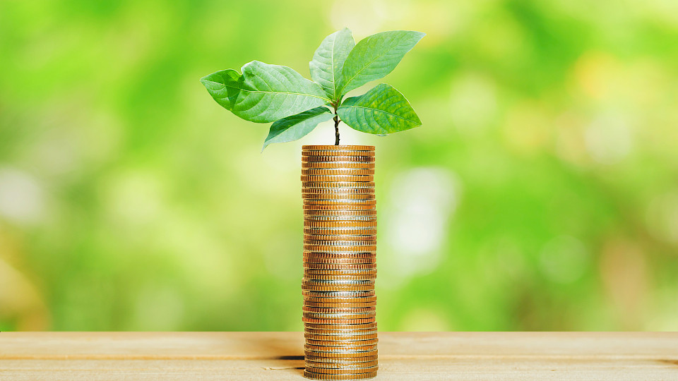 Die Mitgliederversammlung von Swiss Sustainable Finance (SSF) hat vier neue Mitglieder in den Vorstand gewählt. (Bild: Shutterstock.com)