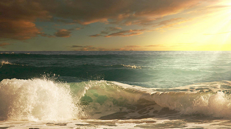 Der Schweizer Fondsmarkt erholt sich weiter von der Corona-Krise. (Bild: Shutterstock.com/Galyna Andrushko)