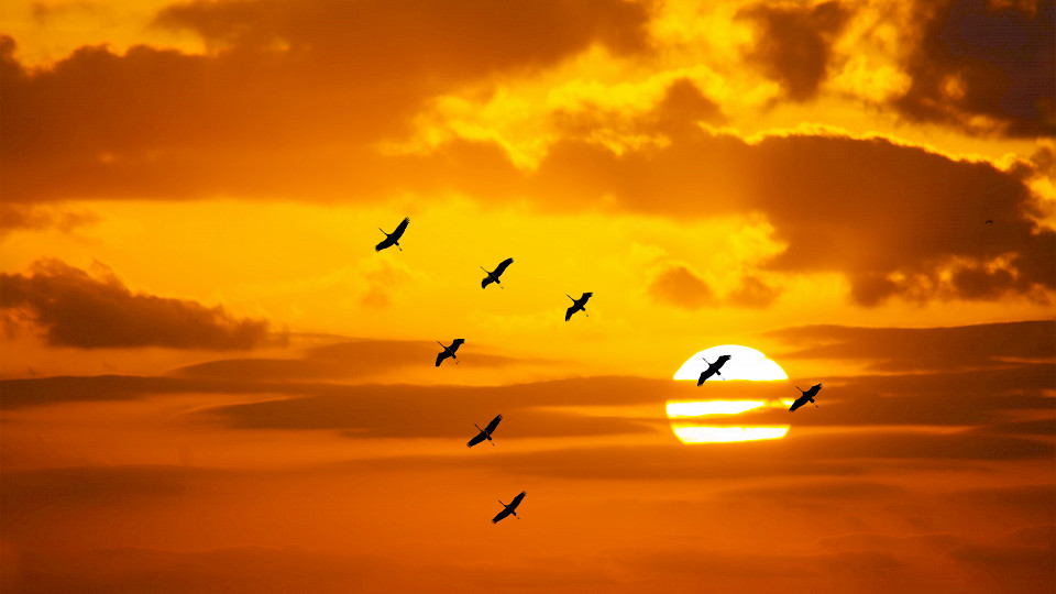 Wird die Erholung der Schweizer Wirtschaft V-förmig verlaufen oder doch eher U-förmig? (Bild: Shutterstock.com/Gabriele Maltini)