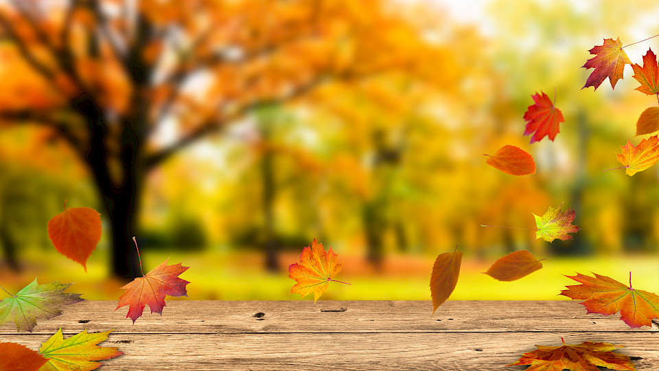 Ein Grossteil der schwarzen Tage an den Börsen fiel jeweils in den Herbst. (Bild: Shutterstock.com/winyuu)