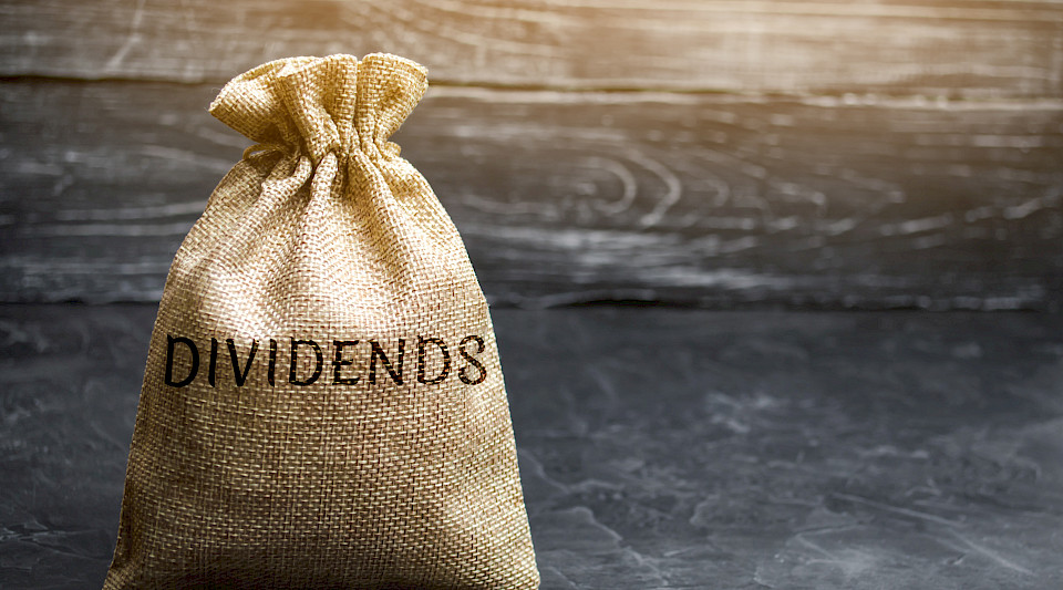 Trotz der durch die schwerwiegenden Folgen der Covid-19-Pandemie verursachten Dividendenkürzungen, gebe es immer noch eine breite Basis von Unternehmen, die attraktive Dividenden zahlen. (Bild: Shutterstock.com)