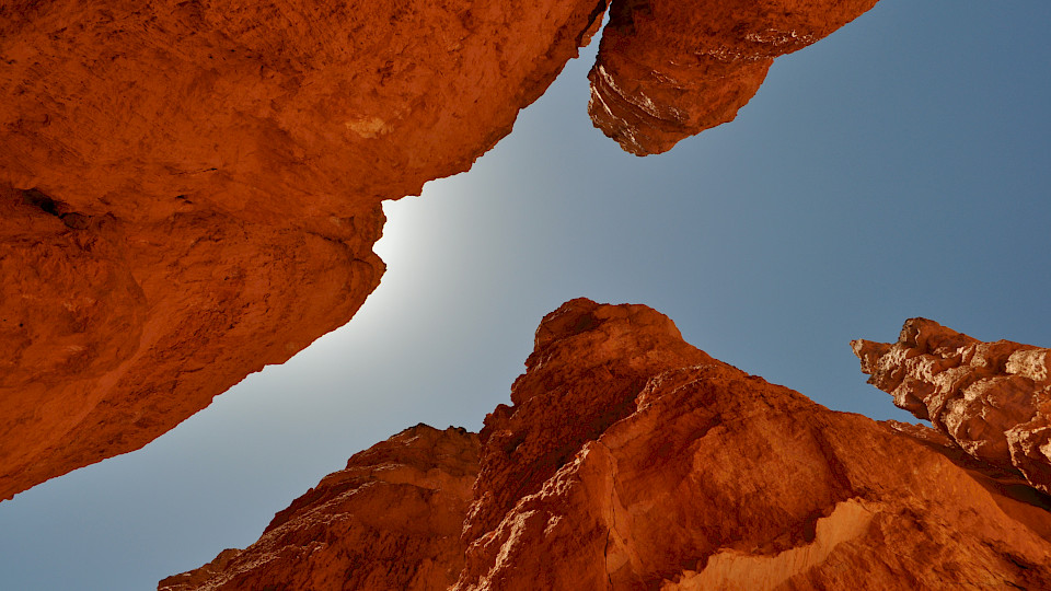 Smart Beta: Abseits der üblichen Pfade und der normalen Sicht. (Bild: Shutterstock.com/Gregory Venarsky)