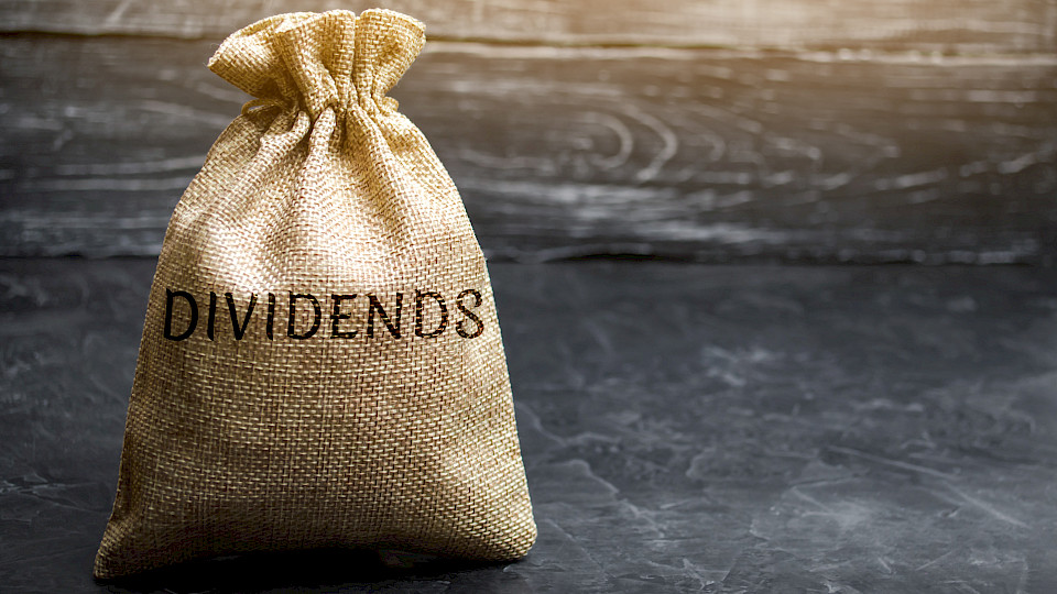 Der Rückgang der globalen Dividenden-Ausschüttungen war im dritten Quartal 2020 weniger gravierend als im Vorquartal. (Bild: Shutterstock.com/Andrii Yalanskyi)
