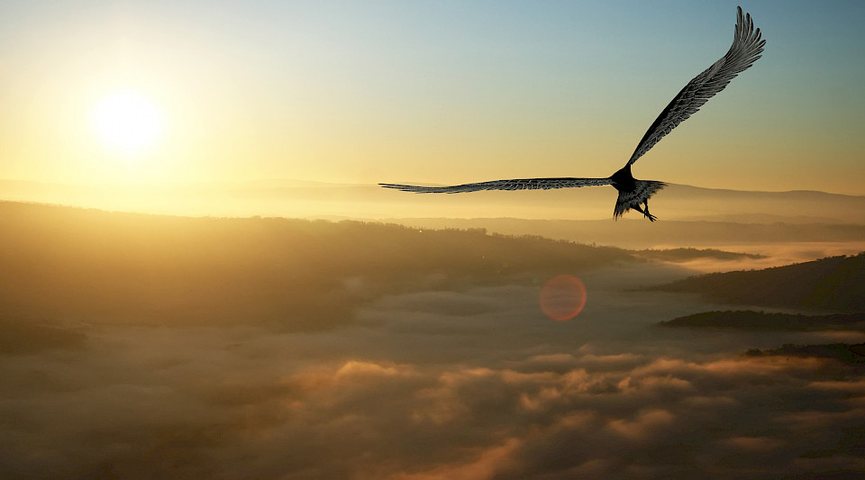 Im November hatte die Nachfrage nach ETFs starken Aufwind. (Bild: Shutterstock.com/Juanjo Tugores)