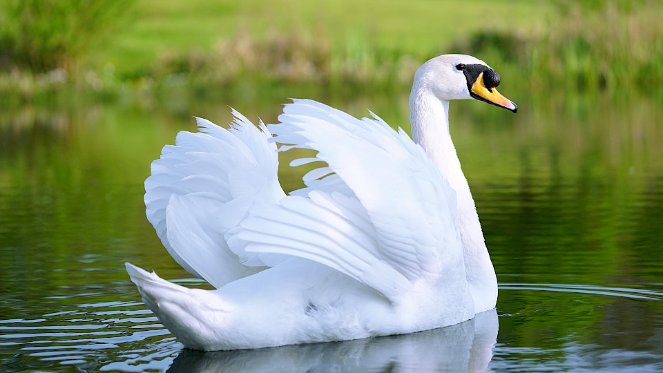 Der Frühling kommt bestimmt und damit dürfte auch das Wirtschaftswachstum weiteren Auftrieb erhalten. (Bild: Shutterstock.com/Dmitry Abduraimov)