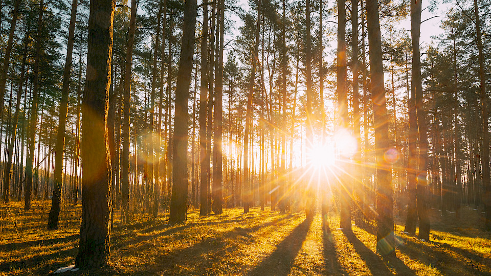 Die Corona-Krise wirft auch Schatten im Kreditwesen. (Bild: Shutterstock.com/Grisha Bruev)