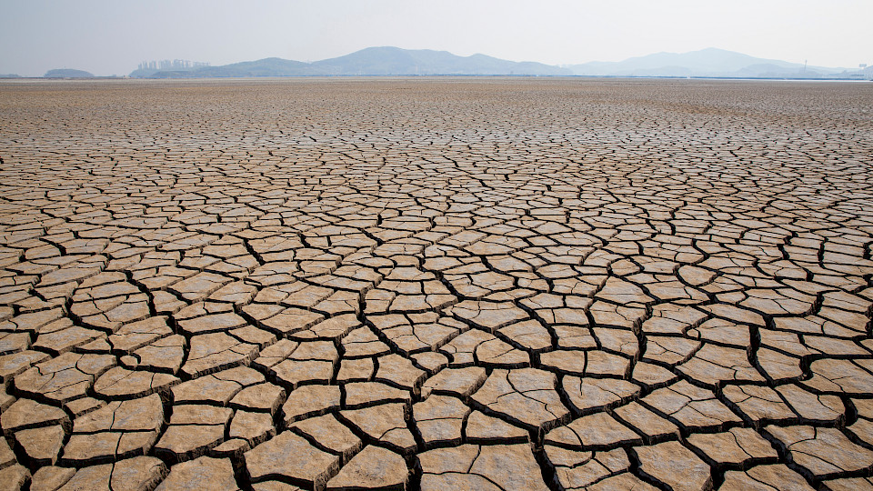 Nordeas Global Climate and Environment-Strategie wird für neue Investorinnen und Investoren geschlossen. (Bild: Shutterstock.com/WIJI)