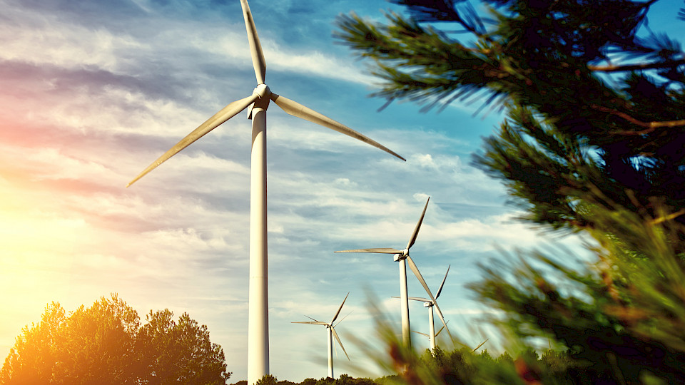 Das Sovereign-Sustainability-Modell von Candriam stellt den Klimawandel und den Umweltschutz ins Zentrum. (Bild: Shutterstock.com/GaudiLab)