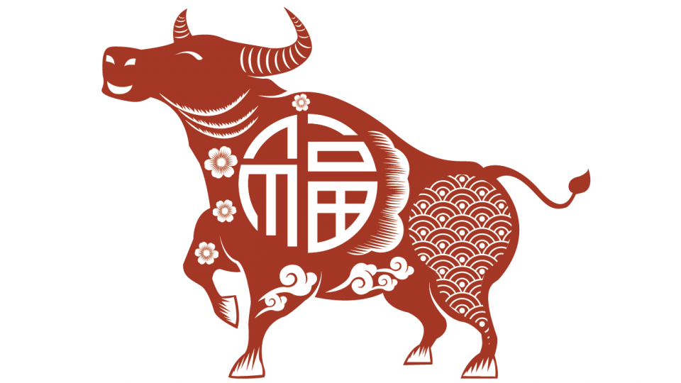 UBS Asset Management ermöglicht dank ausgewiesener Expertise und Präsenz vor Ort, in China erfolgreich zu sein.