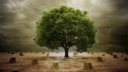 Impact Investing steht ktiv für eine bessere Welt ein. (Bild: Shutterstock.com/Mopic)